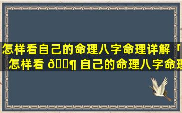 怎样看自己的命理八字命理详解「怎样看 🐶 自己的命理八字命理详解图片」